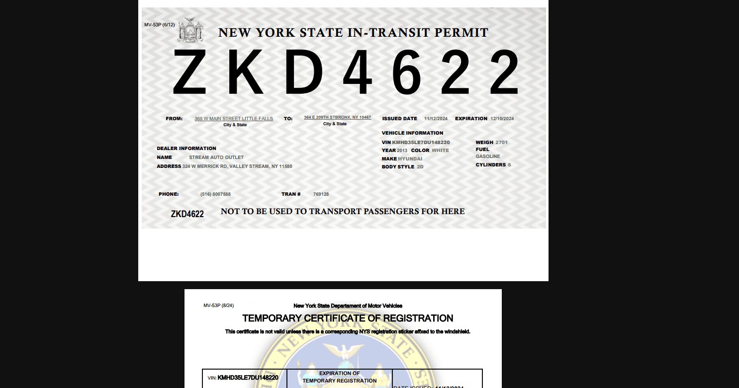 Sacar-placas-temporales-new-york-2025-online